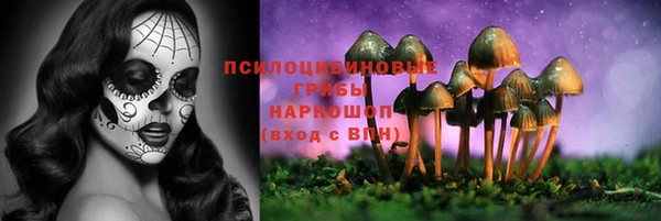 круглые Нефтекумск