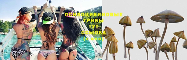 марки lsd Нея
